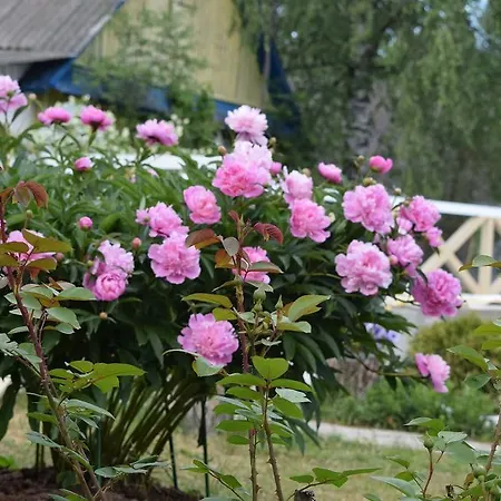 Guest House Tatiana Minsk